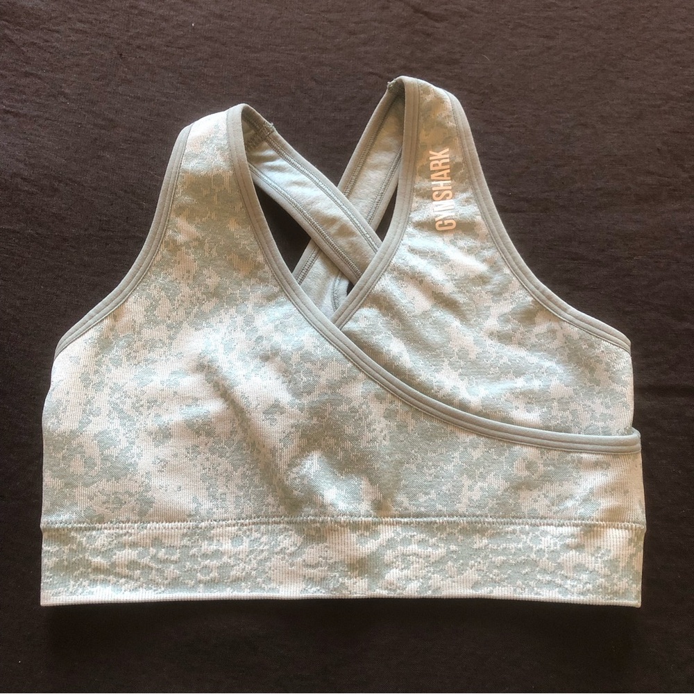 Adapt Sports Bra (teal)